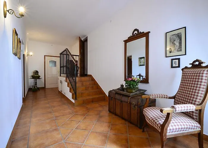 Akacja クドヴァ・ズドゥルイ